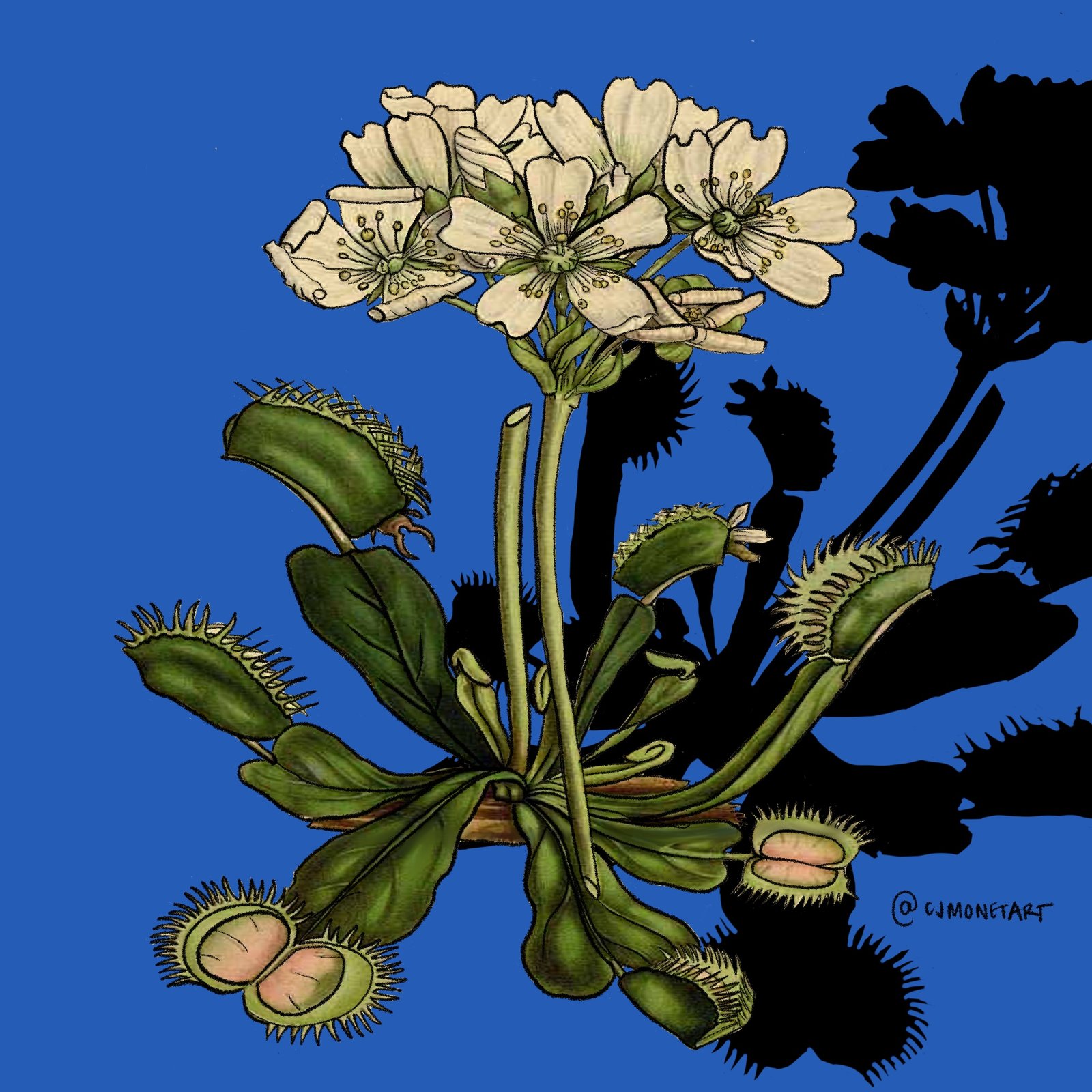Holographic Venus Flytrap Sticker | CJ MONET ART